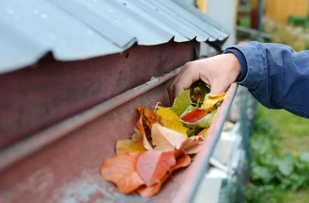 gutter cleaning company low rez 1024x673