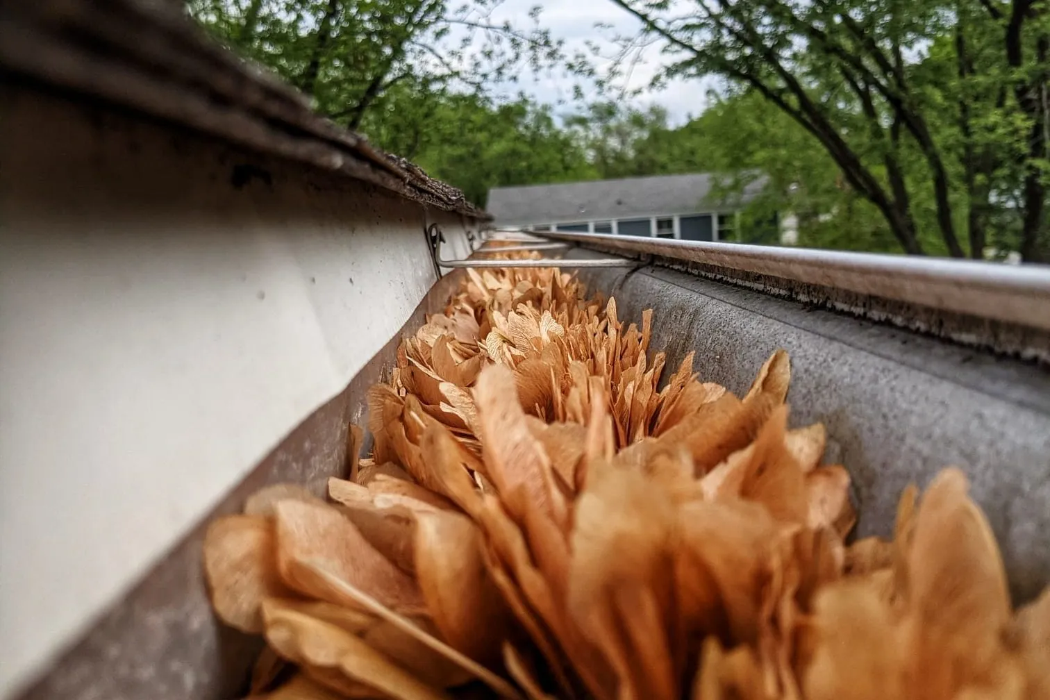 Gutter packed with fallen autumn leaves on a suburban home, ready for fall gutter cleaning