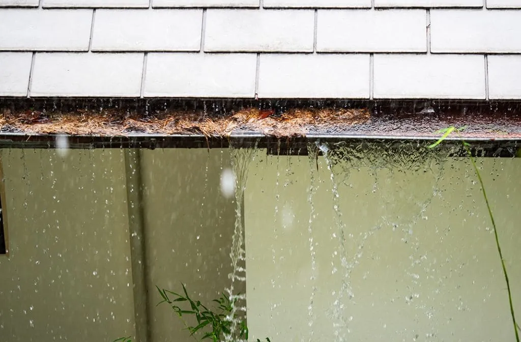 clogged rain gutters