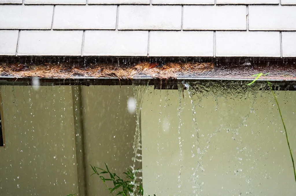 clogged rain gutters