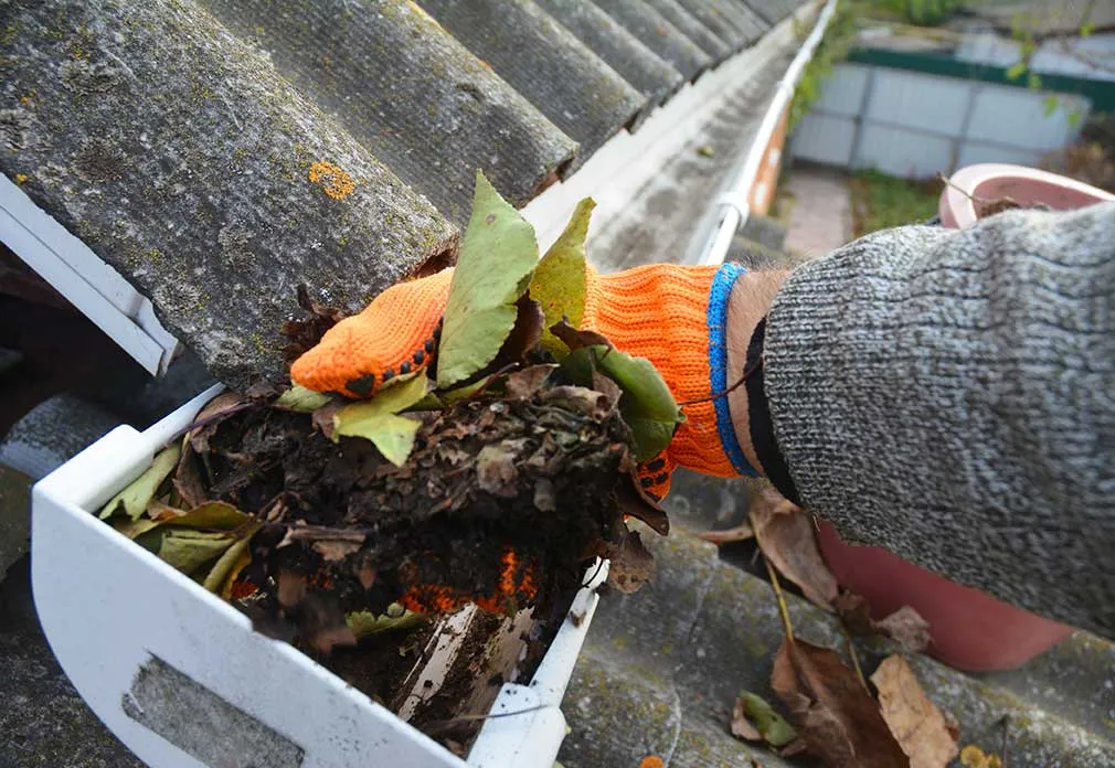 man cleaning house gutters