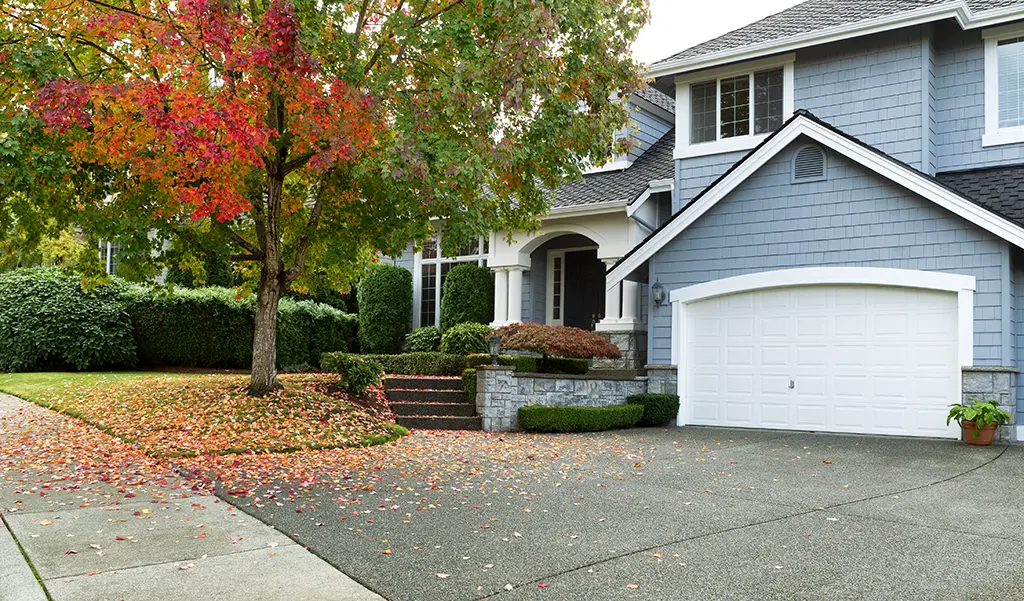 A suburban house with a large mature tree in front during late autumn, leaves still on the lower branches
