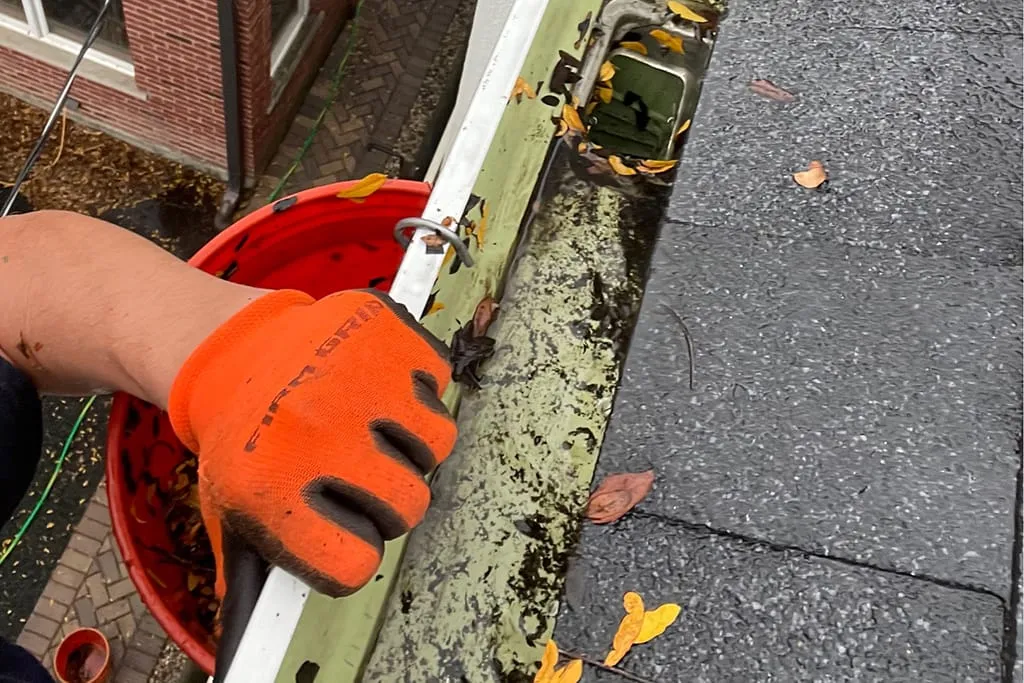 gutter cleaning gloves and bucket