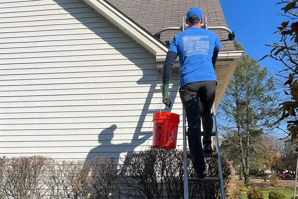 gutter cleaning by a professional
