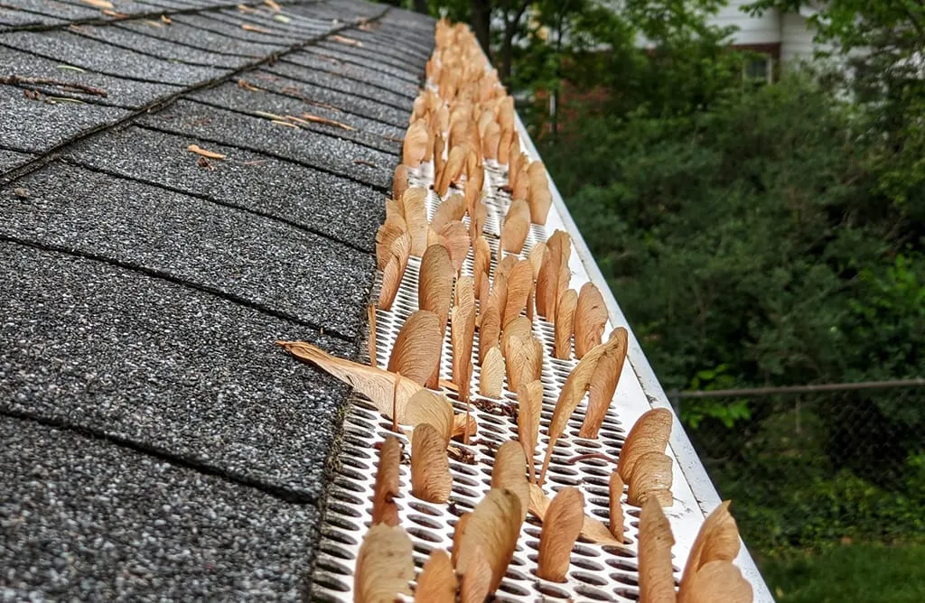 leaves sticking out of gutter guards