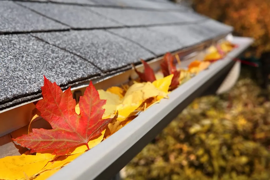 gutter full of leaves in the fall