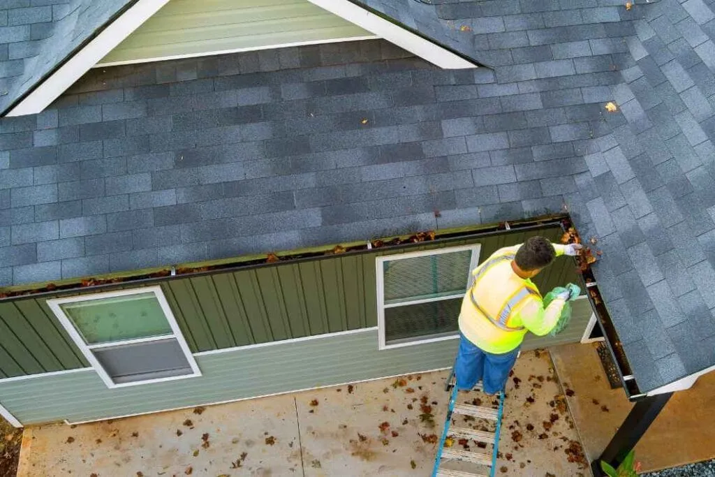 Bagging and Disposal of Debris