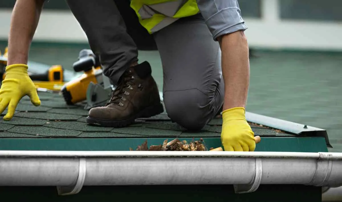 How Often Should You Clean Your Gutters