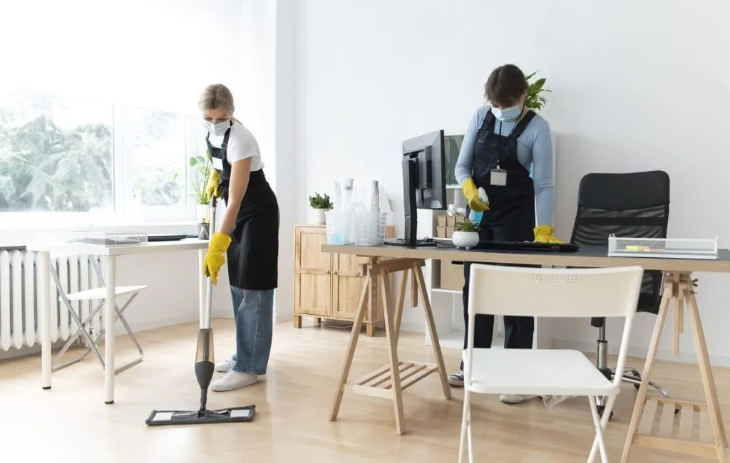 house cleaning tips