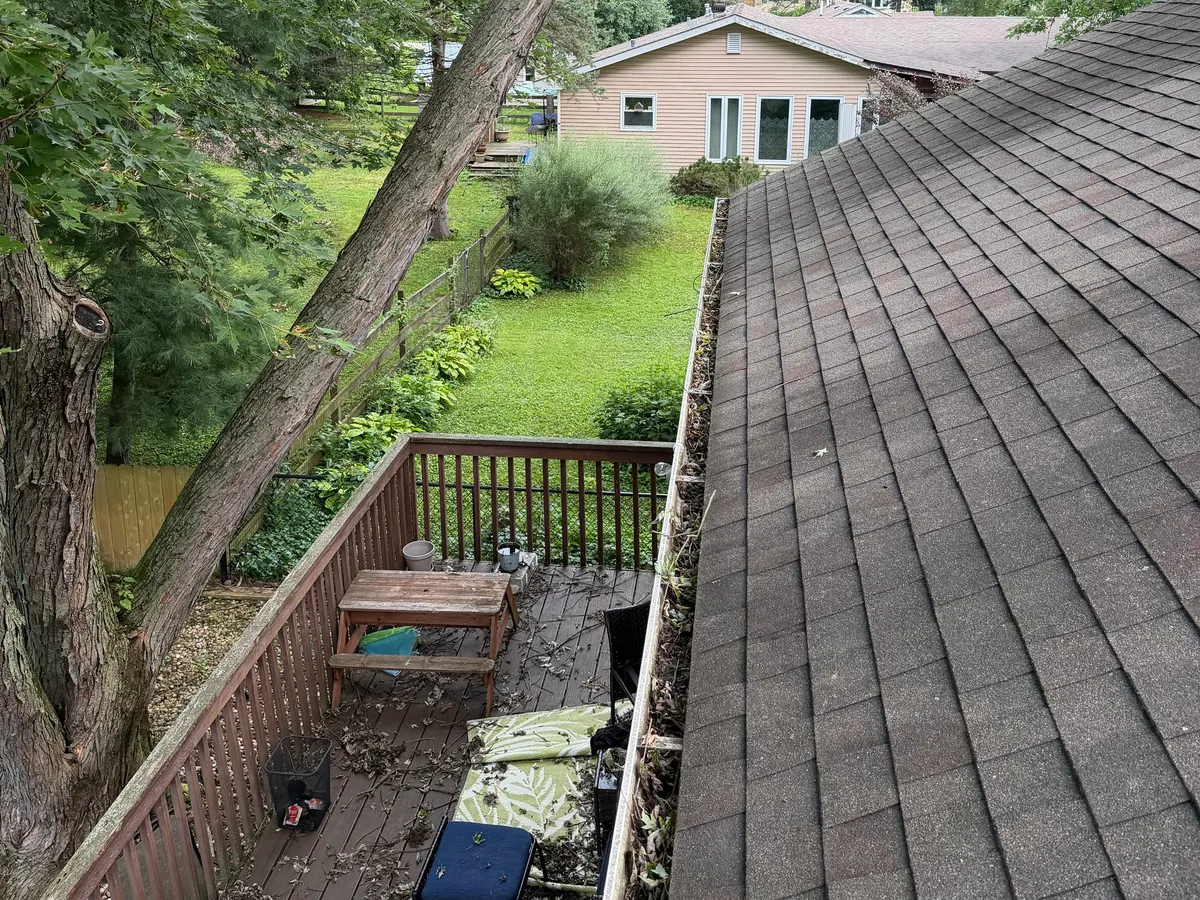 Mature trees leaning over the back roof of a one-story Oakwood Hills home, with leaves on the deck and debris along the gutter before cleaning