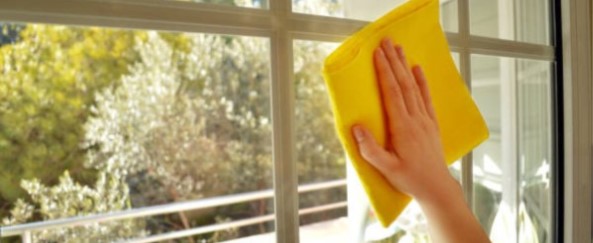 Why Hire a Professional Window Cleaning Service?