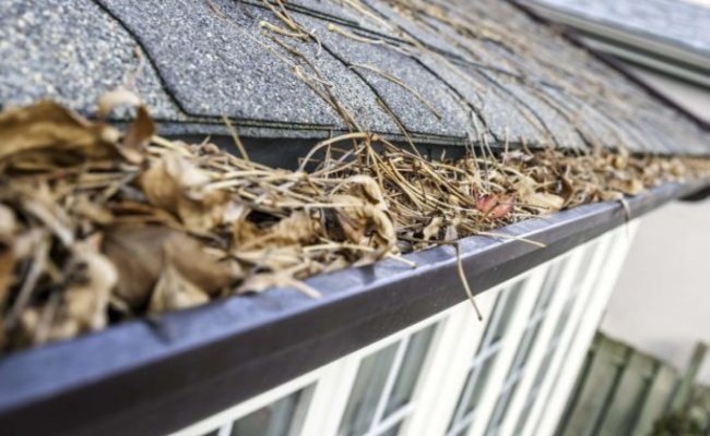 The Importance of Gutter Cleaning and Why You Should Do It Now.