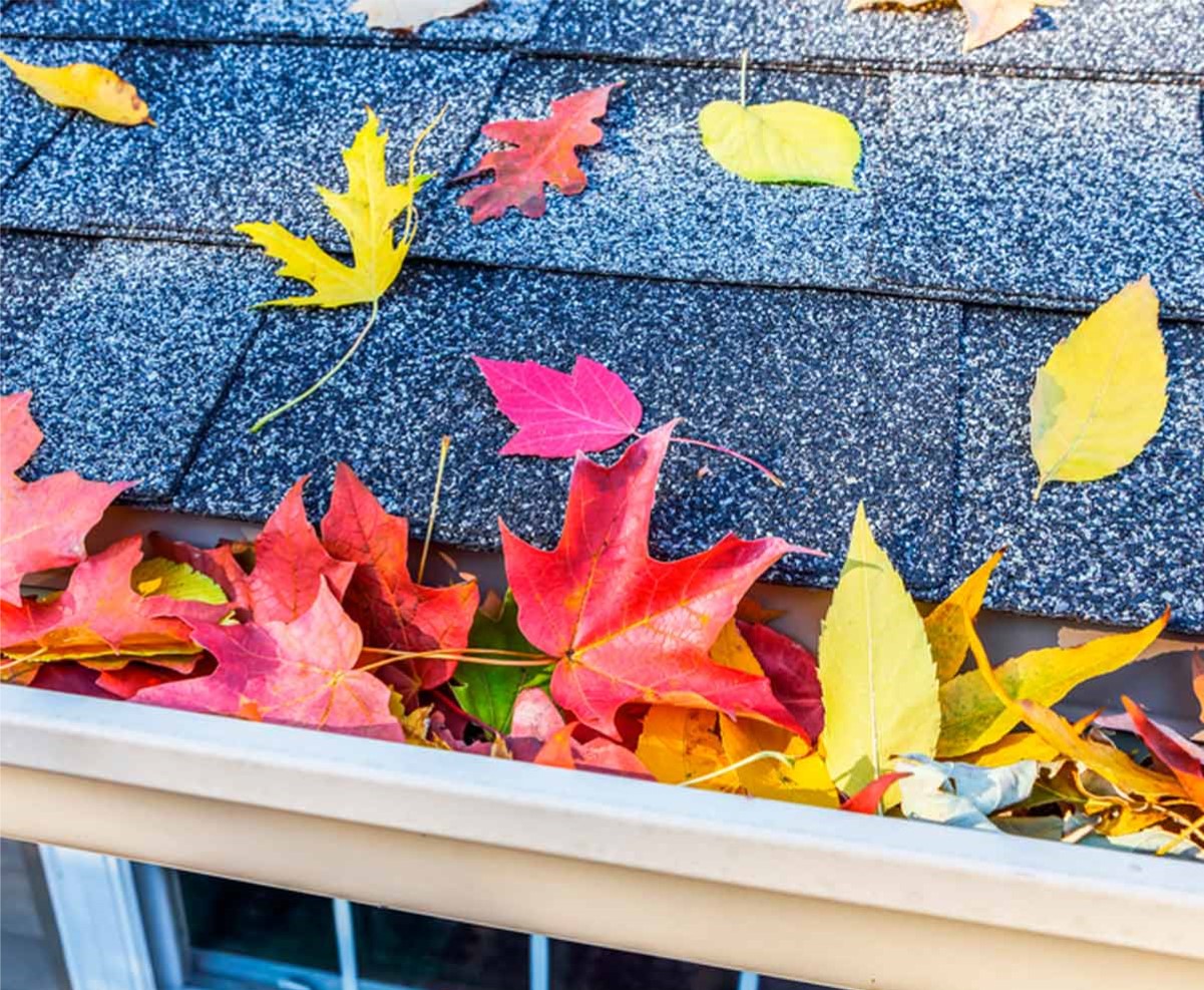 gutter cleaning before winter
