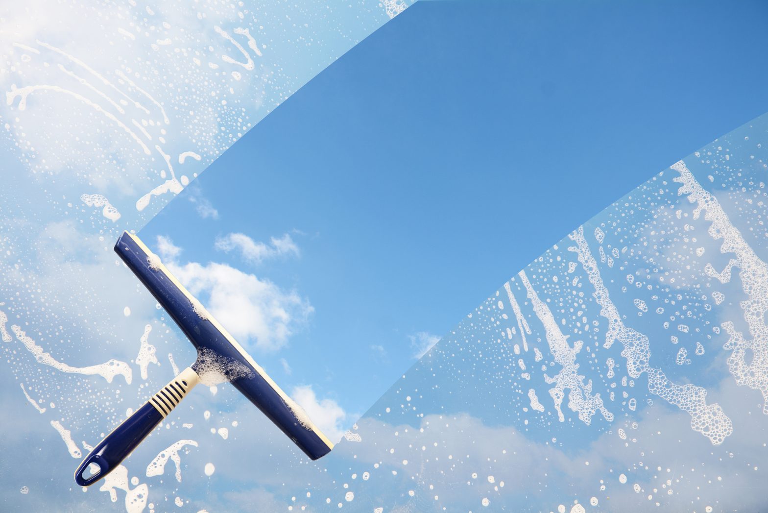 professional window cleaning