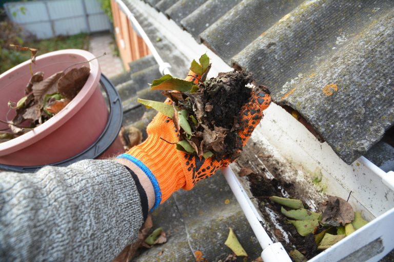 How to Prepare for Roof Gutter Cleaning Before Fall in Chicago