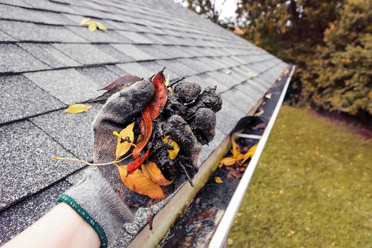 Gutter Cleaning Service Cary Nc