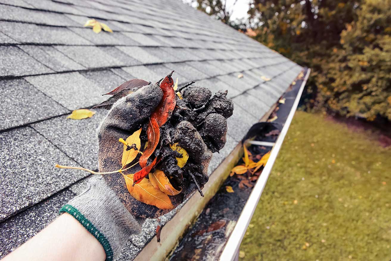 Gutter Cleaning in Houston TX