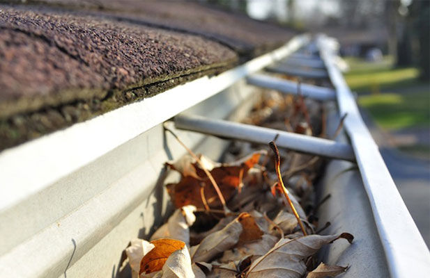 gutter cleaning near me