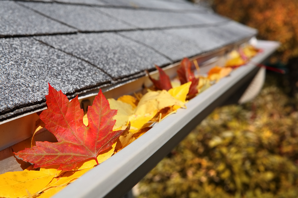 Gutter Cleaning El Dorado Hills