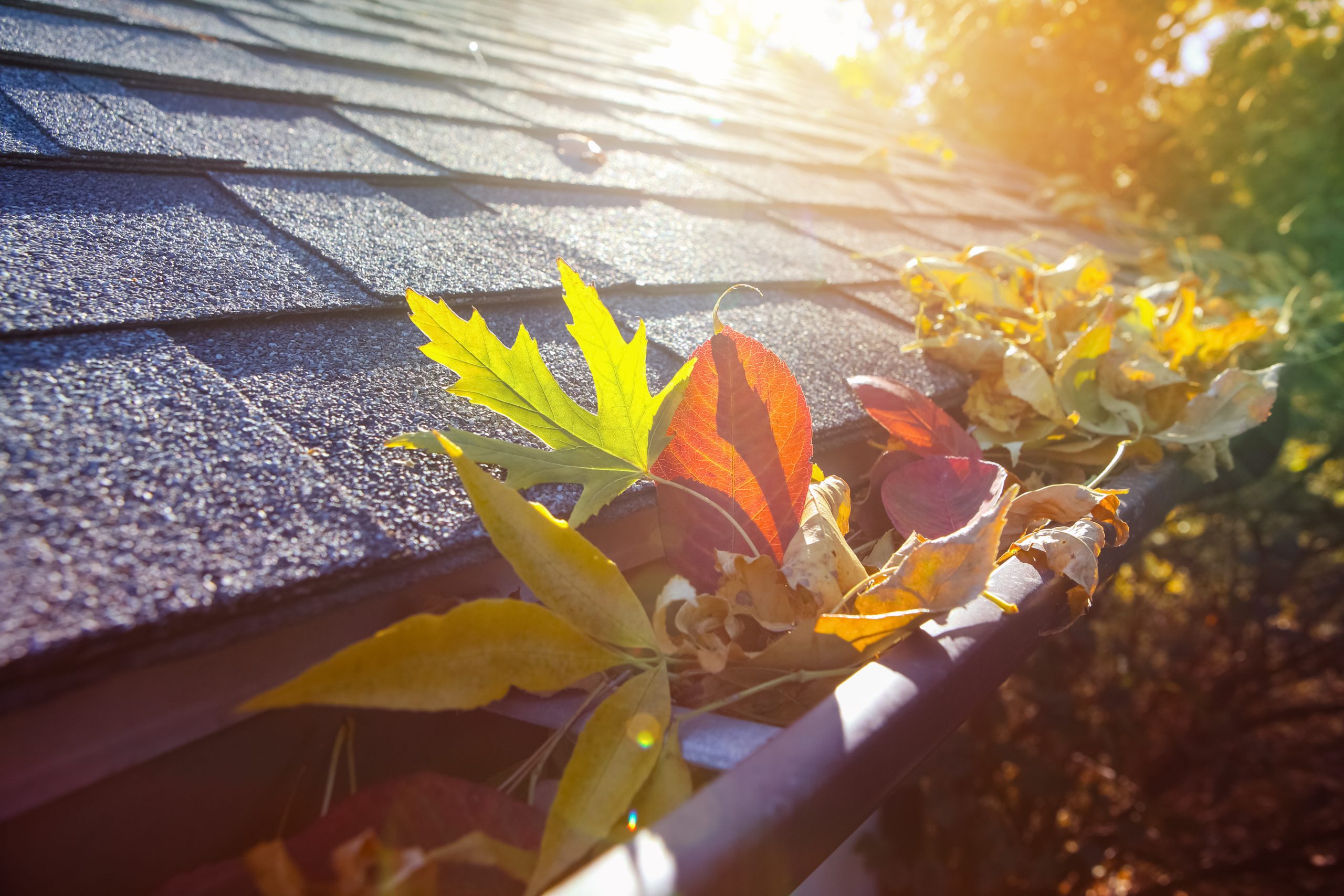 gutters clog fast in the fall, clean gutters before winter
