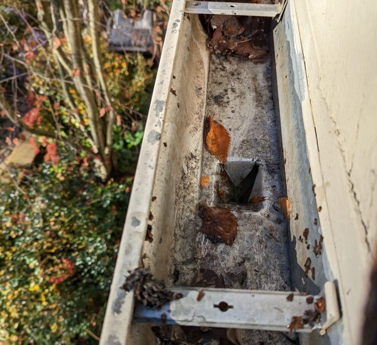 Gutter Cleaning Will Save You Money
