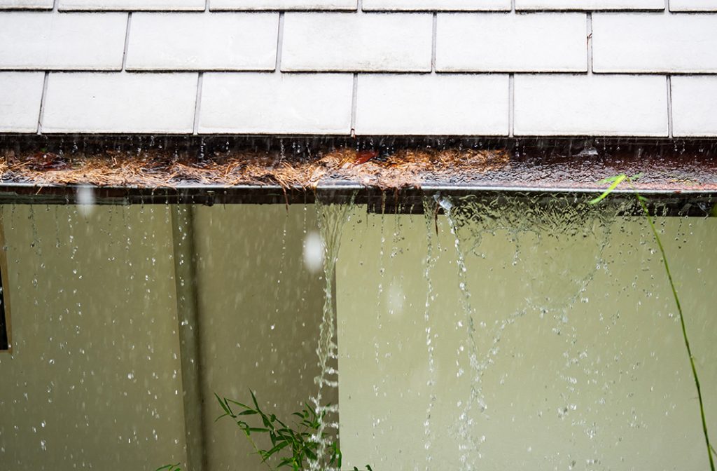 clogged rain gutters 