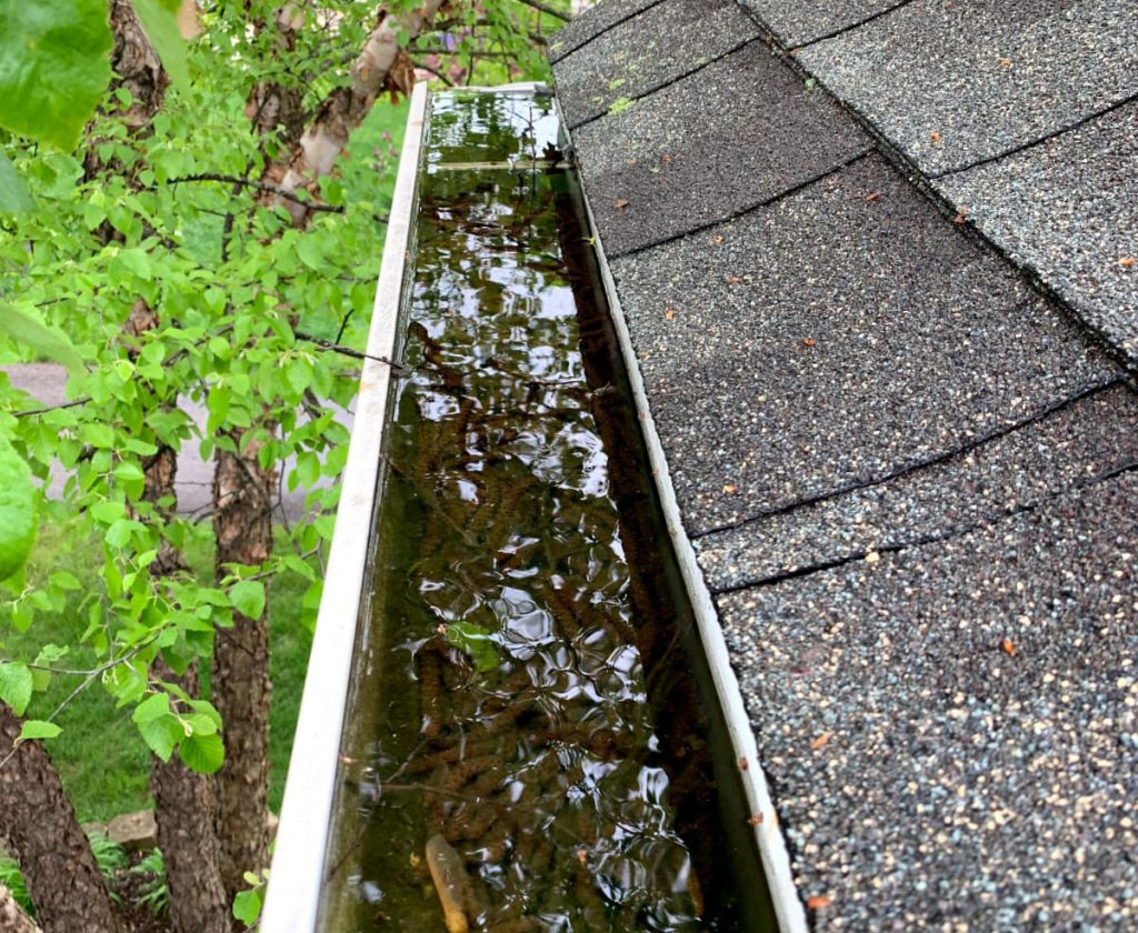 water in clogged gutter