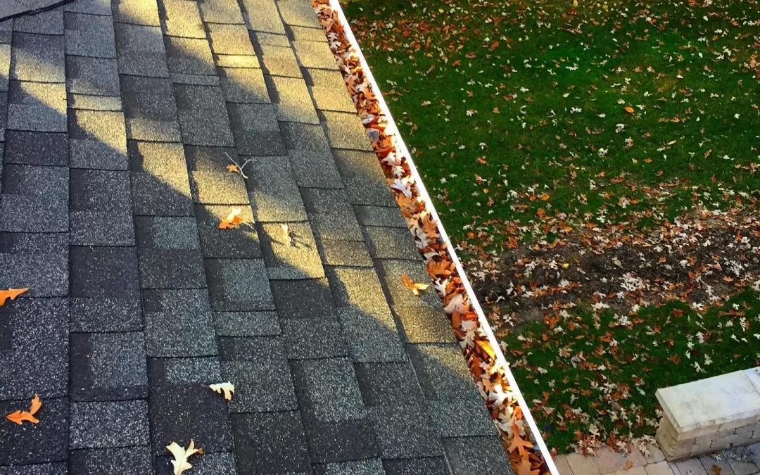 What to Expect From a Professional Cleaning Service
