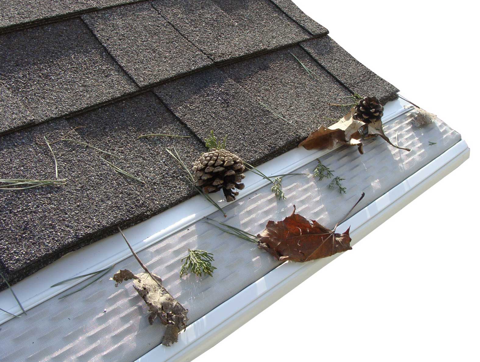 gutter guards can protect your gutters and roof from ice dams