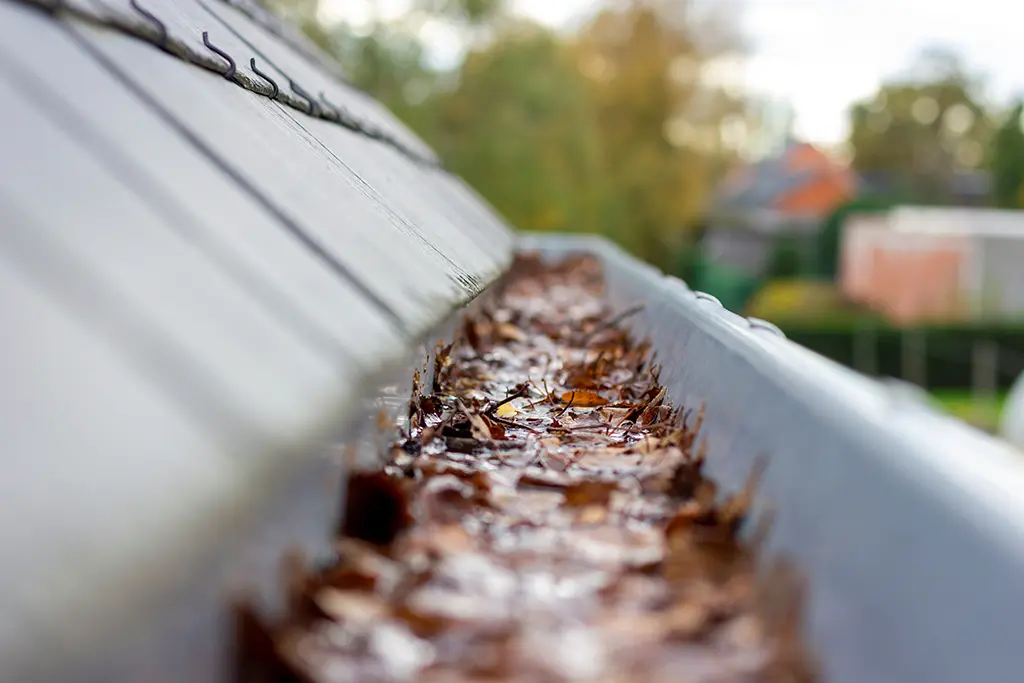 call a professional gutter cleaner before winter