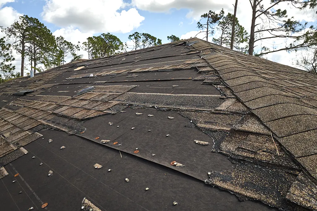 roof condition is very important 