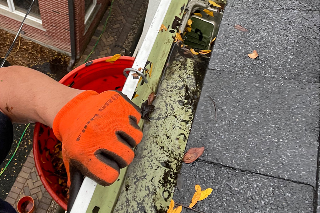 gutter cleaning gloves and bucket