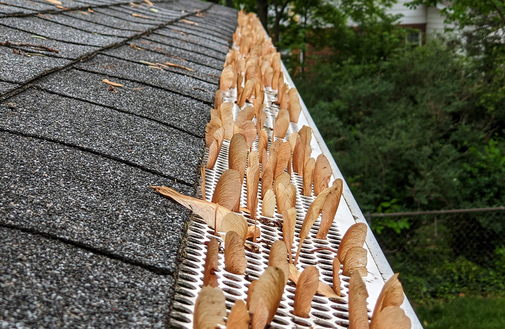 leaves sticking out of gutter guards