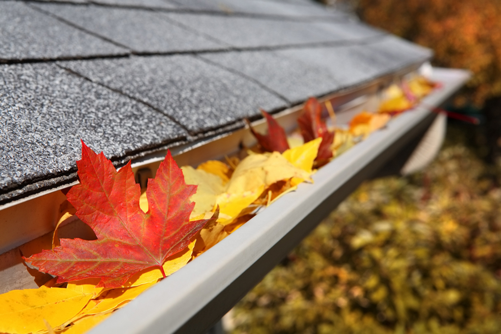 gutter full of leaves in the fall