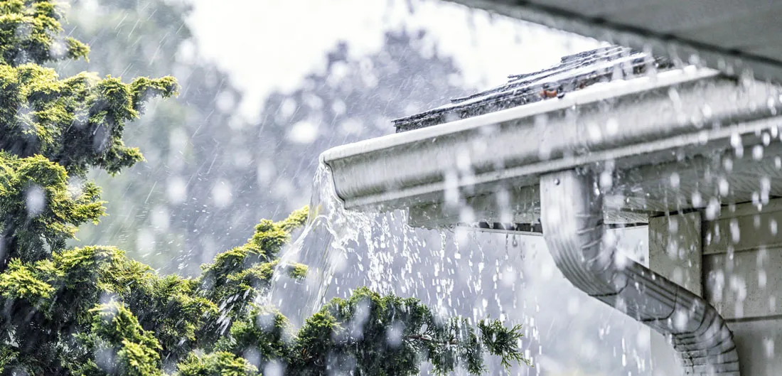 Gutters cleared of leaves next to a guarded section on a Chicago-area home